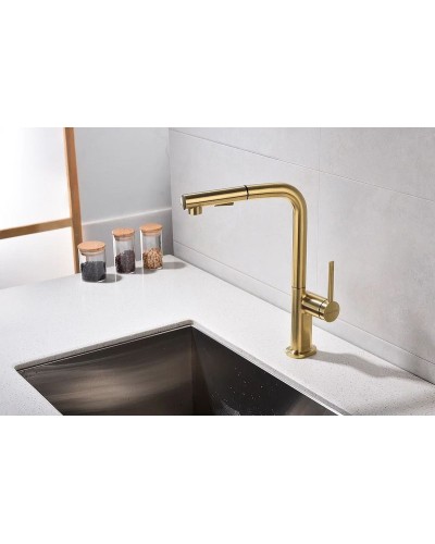 Смеситель для кухни Paulmark Neo Ne214419-BG Брашированное золото