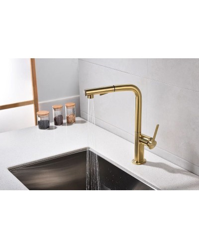 Смеситель для кухни Paulmark Neo Ne214419-BG Брашированное золото