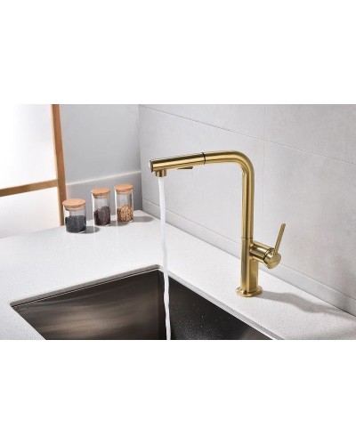 Смеситель для кухни Paulmark Neo Ne214419-BG Брашированное золото