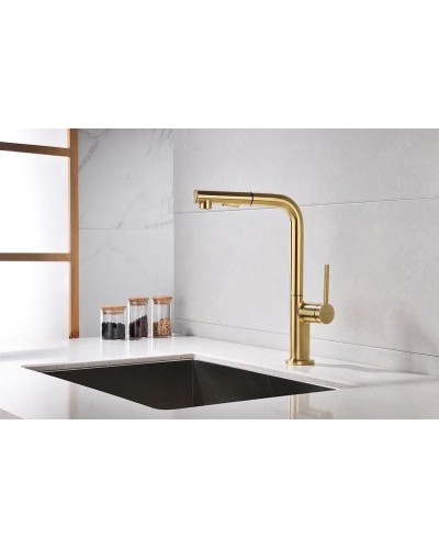 Смеситель для кухни Paulmark Neo Ne214419-BG Брашированное золото