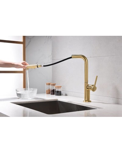 Смеситель для кухни Paulmark Neo Ne214419-BG Брашированное золото