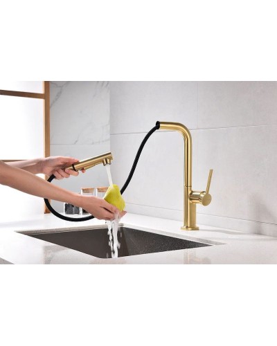 Смеситель для кухни Paulmark Neo Ne214419-BG Брашированное золото