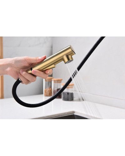 Смеситель для кухни Paulmark Neo Ne214419-BG Брашированное золото