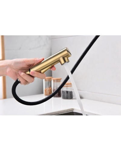 Смеситель для кухни Paulmark Neo Ne214419-BG Брашированное золото