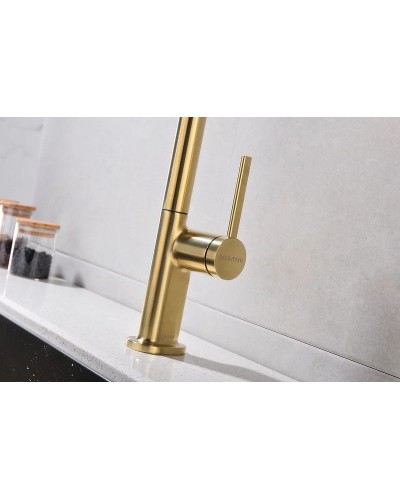 Смеситель для кухни Paulmark Neo Ne214419-BG Брашированное золото