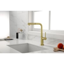 Смеситель для кухни Paulmark Neo Ne214419-SBG Светлое брашированное золото