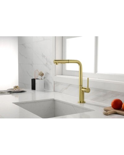 Смеситель для кухни Paulmark Neo Ne214419-SBG Светлое брашированное золото