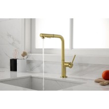 Смеситель для кухни Paulmark Neo Ne214419-SBG Светлое брашированное золото