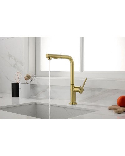 Смеситель для кухни Paulmark Neo Ne214419-SBG Светлое брашированное золото