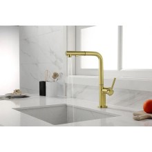 Смеситель для кухни Paulmark Neo Ne214419-SBG Светлое брашированное золото