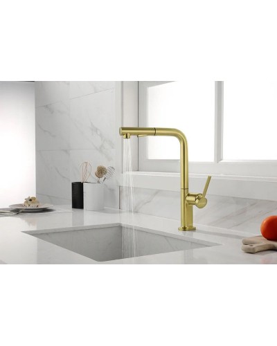 Смеситель для кухни Paulmark Neo Ne214419-SBG Светлое брашированное золото