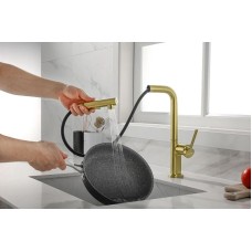 Смеситель для кухни Paulmark Neo Ne214419-SBG Светлое брашированное золото