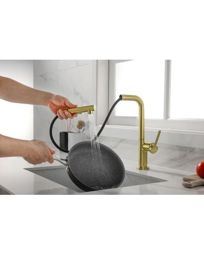 Смеситель для кухни Paulmark Neo Ne214419-SBG Светлое брашированное золото