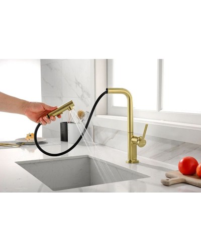 Смеситель для кухни Paulmark Neo Ne214419-SBG Светлое брашированное золото