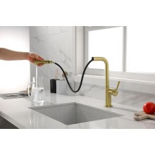 Смеситель для кухни Paulmark Neo Ne214419-SBG Светлое брашированное золото