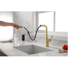 Смеситель для кухни Paulmark Neo Ne214419-SBG Светлое брашированное золото