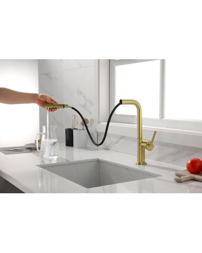 Смеситель для кухни Paulmark Neo Ne214419-SBG Светлое брашированное золото