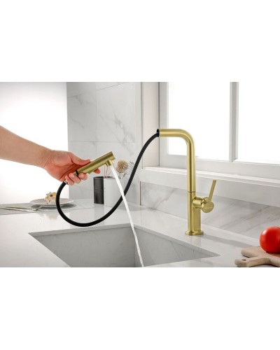 Смеситель для кухни Paulmark Neo Ne214419-SBG Светлое брашированное золото