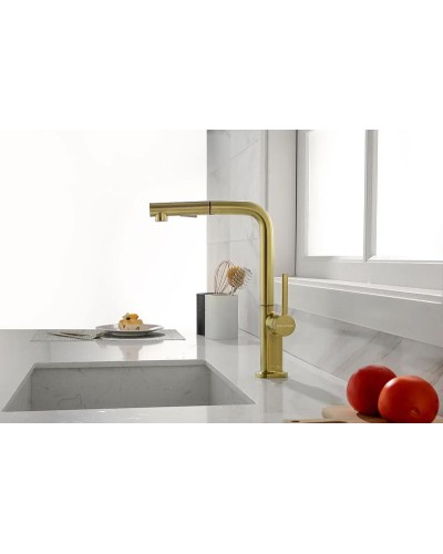 Смеситель для кухни Paulmark Neo Ne214419-SBG Светлое брашированное золото