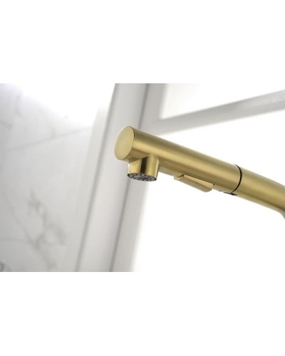 Смеситель для кухни Paulmark Neo Ne214419-SBG Светлое брашированное золото