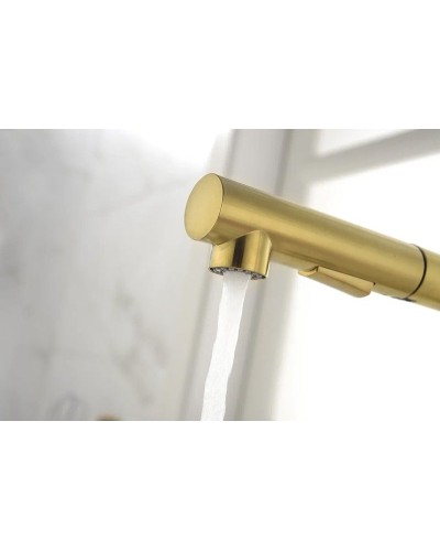 Смеситель для кухни Paulmark Neo Ne214419-SBG Светлое брашированное золото