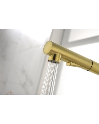 Смеситель для кухни Paulmark Neo Ne214419-SBG Светлое брашированное золото