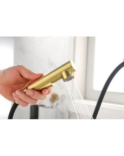 Смеситель для кухни Paulmark Neo Ne214419-SBG Светлое брашированное золото