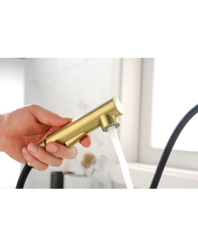 Смеситель для кухни Paulmark Neo Ne214419-SBG Светлое брашированное золото