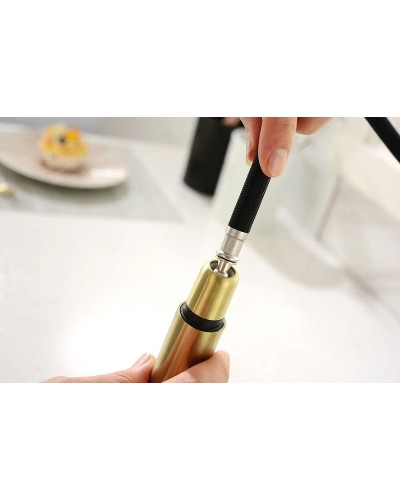 Смеситель для кухни Paulmark Neo Ne214419-SBG Светлое брашированное золото