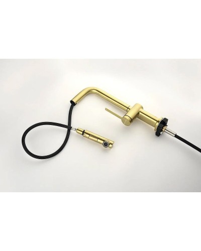 Смеситель для кухни Paulmark Neo Ne214419-SBG Светлое брашированное золото