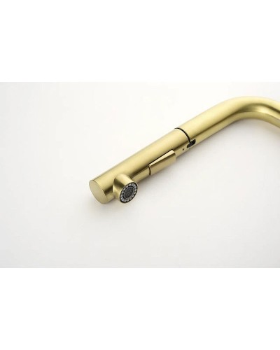 Смеситель для кухни Paulmark Neo Ne214419-SBG Светлое брашированное золото