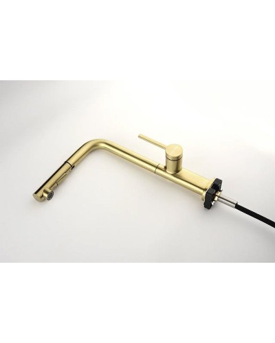 Смеситель для кухни Paulmark Neo Ne214419-SBG Светлое брашированное золото