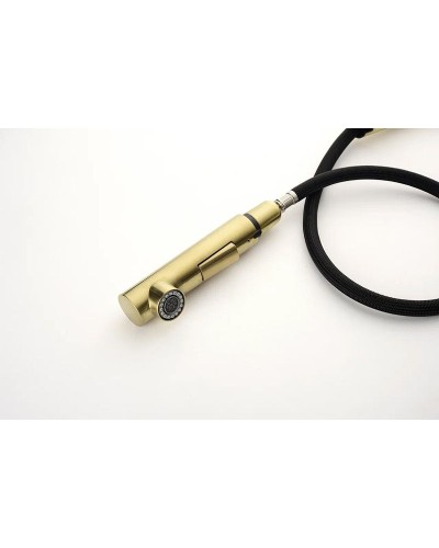 Смеситель для кухни Paulmark Neo Ne214419-SBG Светлое брашированное золото