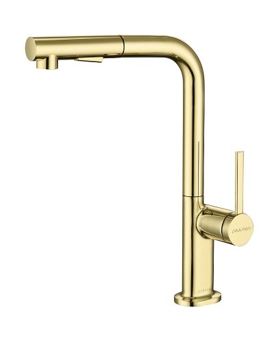 Смеситель для кухни Paulmark Neo Ne214419-G Золото