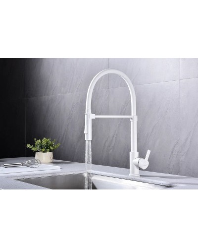 Смеситель для кухни Paulmark Halt Ha214021-431 Белый матовый