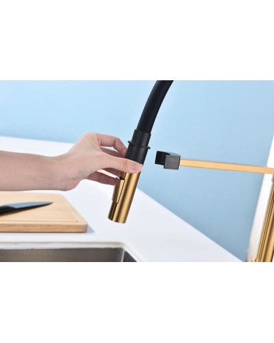 Смеситель для кухни Paulmark Halt Ha214021-BG Брашированное золото