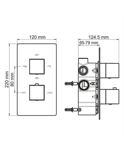 Смеситель для душа WasserKRAFT Alme 1544 с термостатом Хром