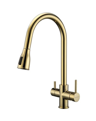 Смеситель для кухни Paulmark Lange La214212-G Золото