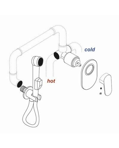 Смеситель для душа WasserKRAFT Wern 4251 Хром матовый