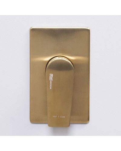 Смеситель для душа WasserKRAFT Aisch 5551 Золото матовое