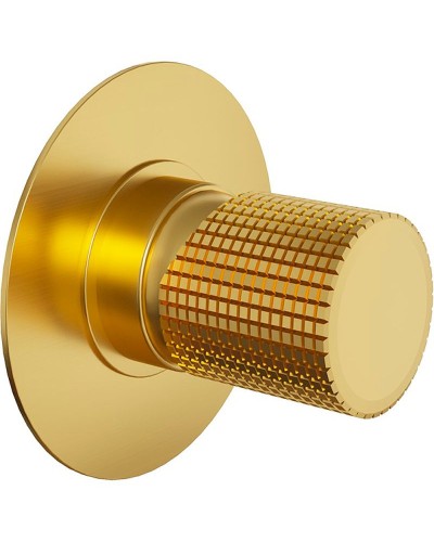 Смеситель для душа Paini Cox Grip 7GPJ690 Золото матовое