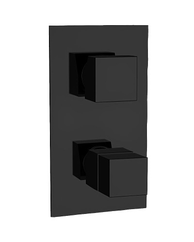 Смеситель для душа Remer Qubica Thermo QT92KBNO с термостатом Черный матовый