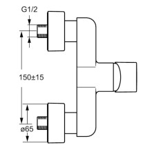Смеситель для душа Hansa Form 49670103