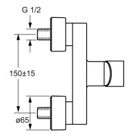 Смеситель для душа Hansa Ligna 06670103