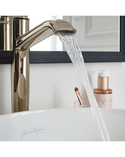 Смеситель для раковины Jacob Delafon Cleo 1889 E24309-BGG Золото глянцевое