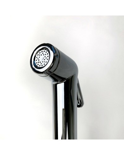 Смеситель для раковины Paini Viva Style P4CR205/574 с гигиеническим душем Хром