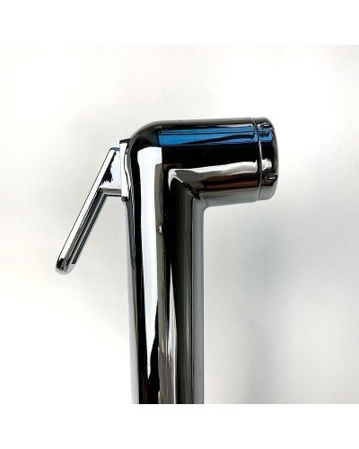 Смеситель для раковины Paini Viva Style P4CR205/574 с гигиеническим душем Хром