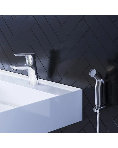 Смеситель для раковины с гигиеническим душем Damixa Jupiter 770300001