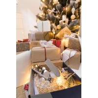 Смеситель для ванны Aquanet Arctic AF520-20СW 216776 Хром Белый