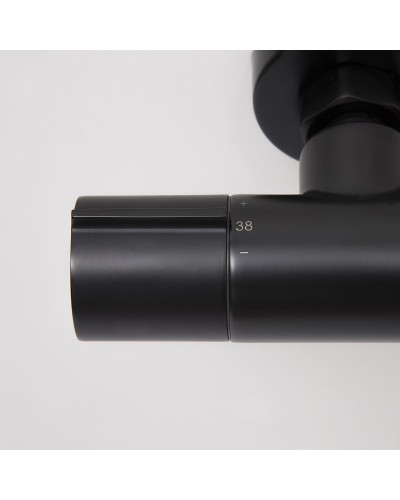 Смеситель для ванны WasserKRAFT Elbe 7411 Thermo с термостатом Черный